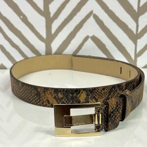 Via Spiga Brown Snake Print Belt Gold Logo Hardware Size M